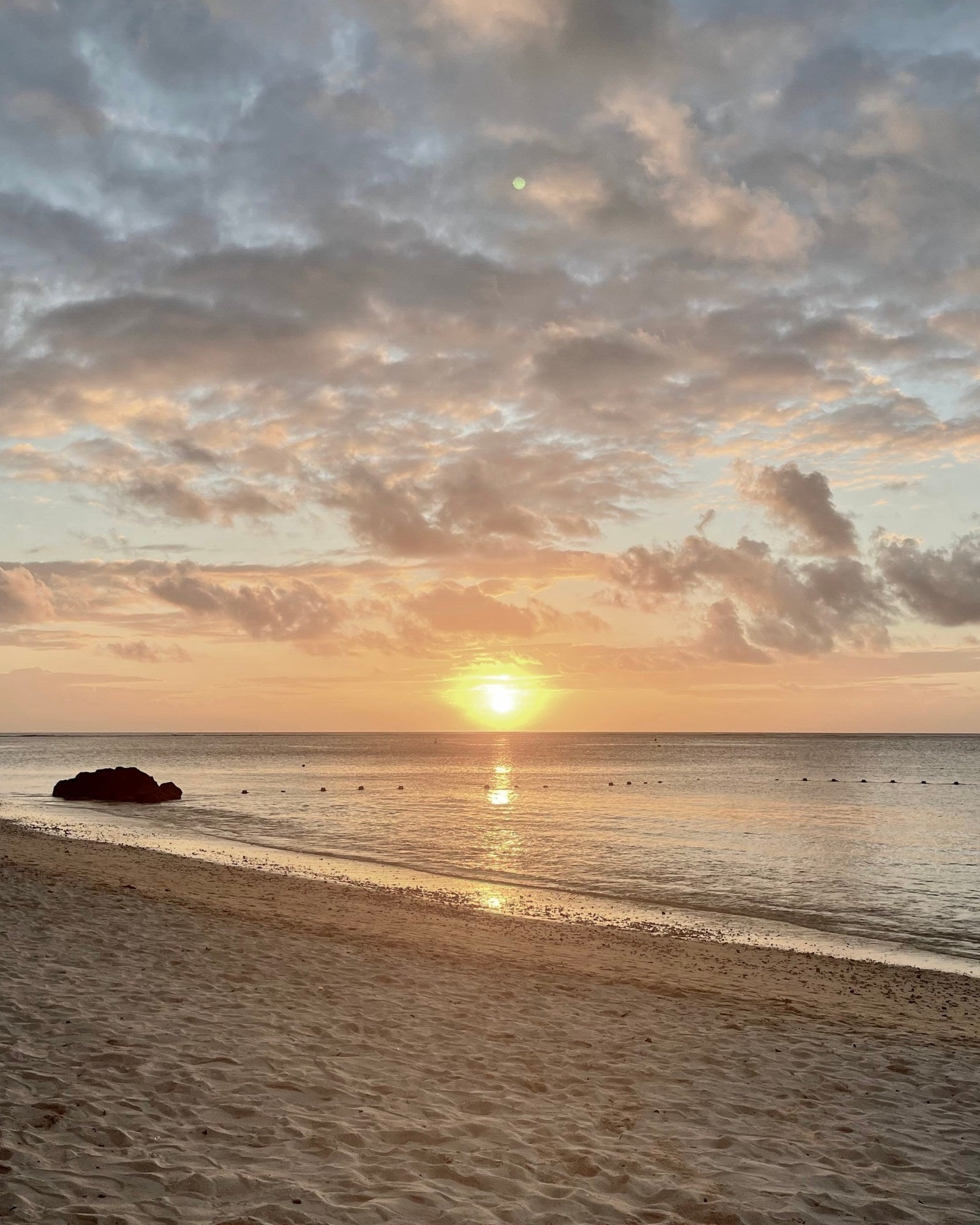 Collection Horizon Doré